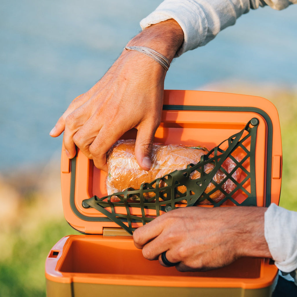 8 QT Road Trip Personal Cooler (C2ST)
