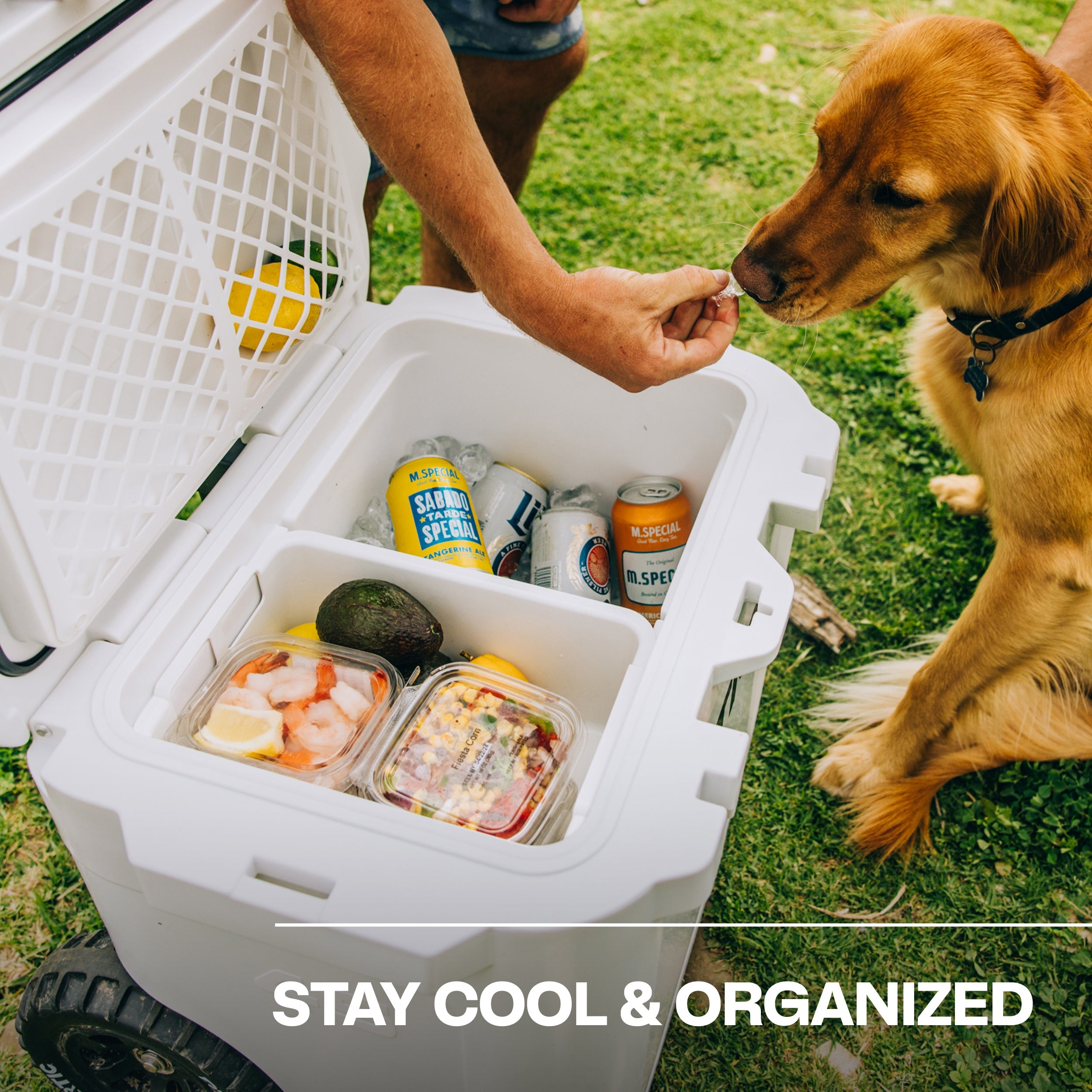 45 QT Ultra-Tough Wheeled Cooler (1OA4)
